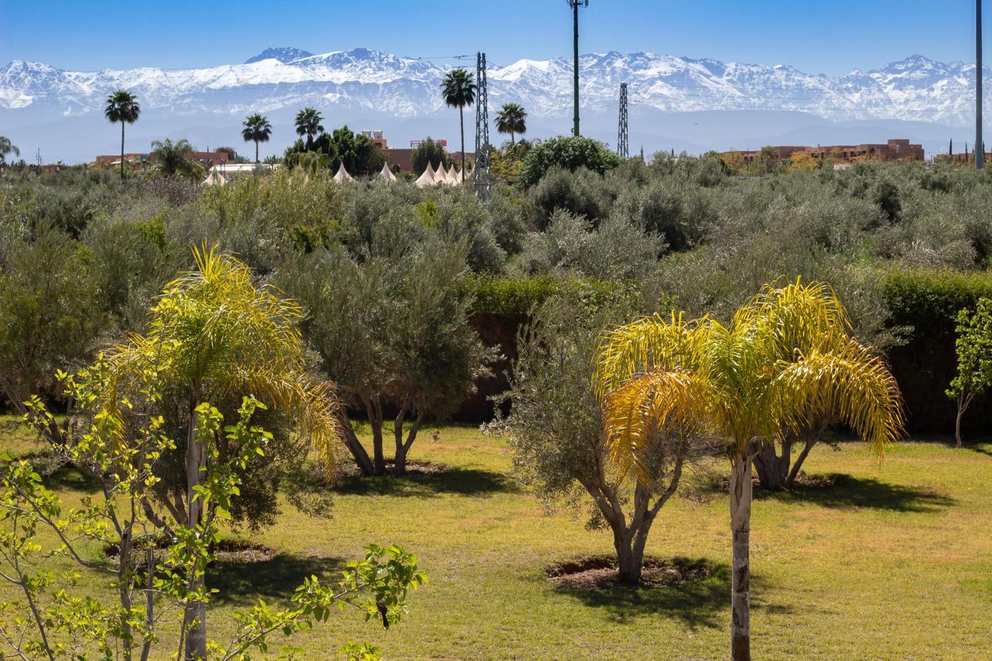 Villa Jardins D'Isa Lagouassem Exteriör bild